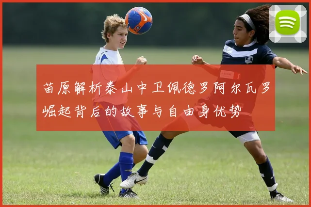 苗原解析泰山中卫佩德罗阿尔瓦罗崛起背后的故事与自由身优势