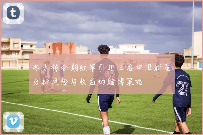 冬季转会期红军引进三名中卫新星分析风险与收益的赌博策略